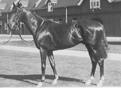 Hyperion XX