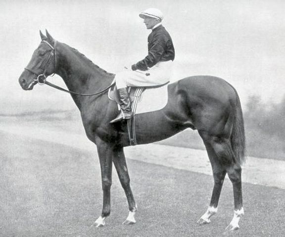 Hyperion XX