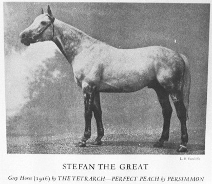 Stefan The Great XX